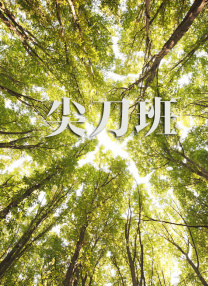 欧美激情一区二区三区在线视频观看